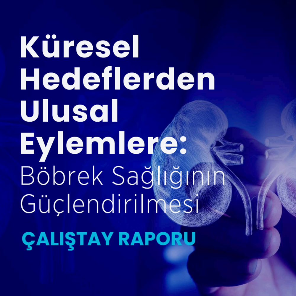 Küresel Hedeflerden Ulusal Eylemlere: Böbrek Sağlığının Güçlendirilmesi Çalıştayı